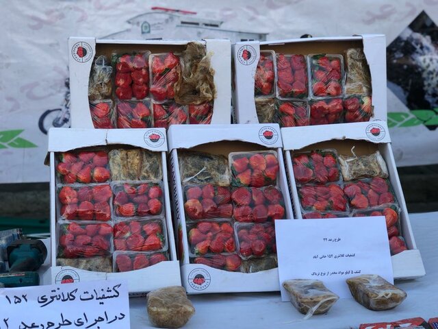 کشف تریاک‌فرنگی در تره‌بار +عکس