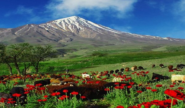 فعالیتهای آتشفشان دماوند طبیعی است فعالیتهای آتشفشان دماوند طبیعی است