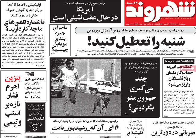 چند می‌گیری حیوونمو بگردونی؟!