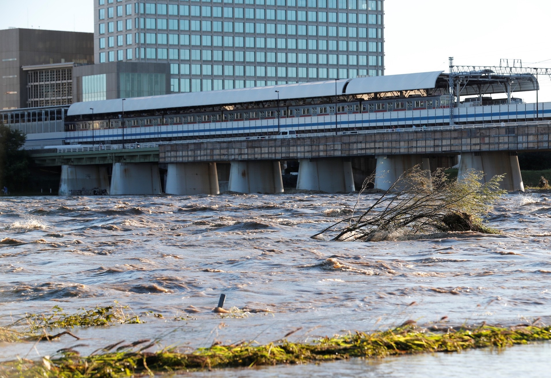 عکس/ طوفان هاگیبیس در ژاپن عکس/ طوفان هاگیبیس در ژاپن