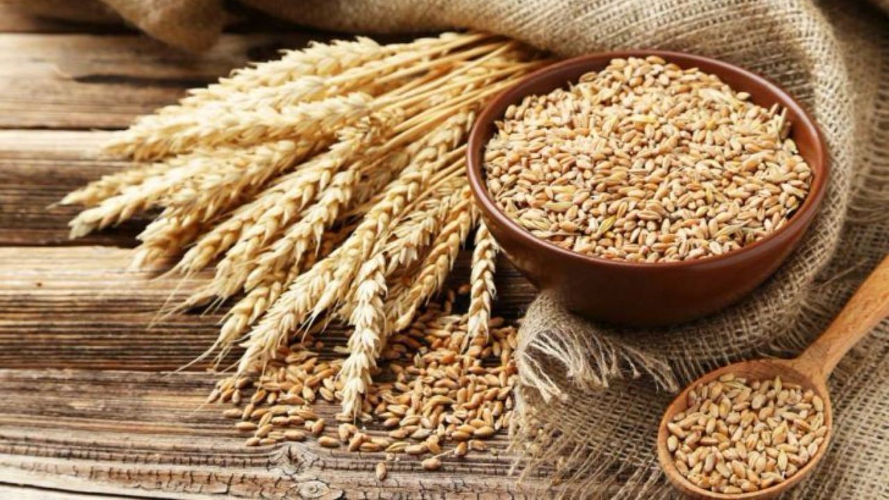 «خودکفایی»، راهبرد ۳۰ساله رهبری که کشور را نجات داد